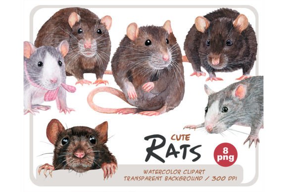 Download Watercolor Realistic Rats Clipart Set - Realistic Collection