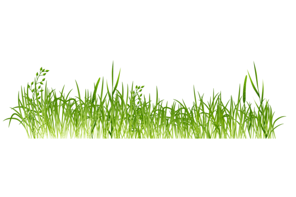 Download Green Grass Border. Meadow Realistic Pla - Realistic Collection